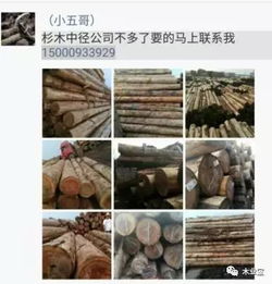 找原木,找板材,在这里,2017年9月24日 ,精品木材 销售信息,履约思源,不忘初心 搜狐财经 搜狐网